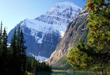 集结日浙江稠州备战足总杯，遗憾出局细节曝光，质疑声仍在，资深球员宣示担当的简单介绍-爱游戏ayx入口平台